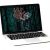 Secure Passwords Without Sacrificing User Experience